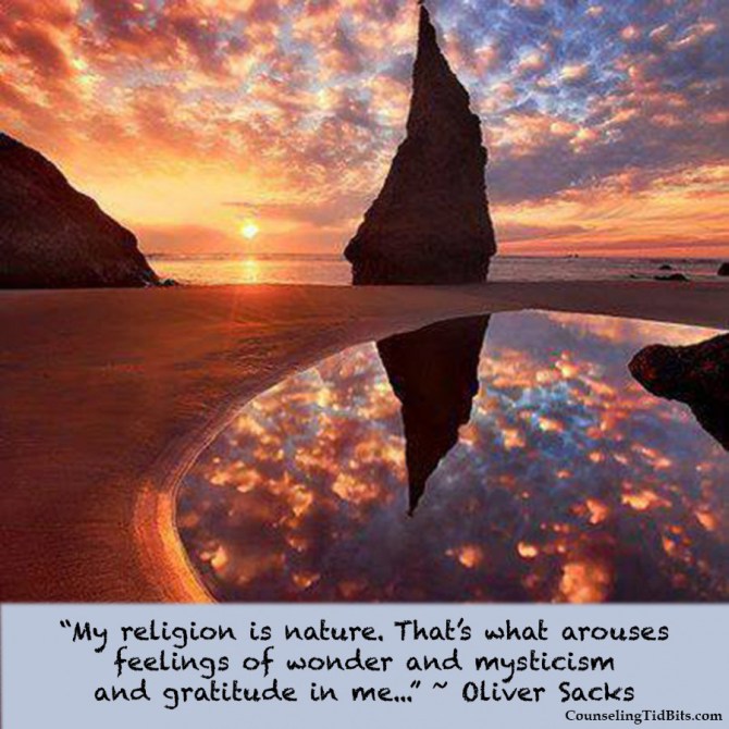 serenityclarity-copy-e1416533578680 copy