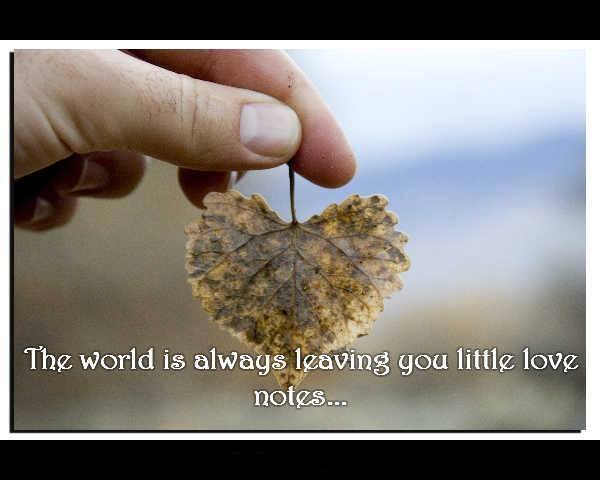 MeditationMasters.com