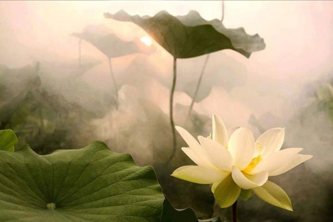 10639593_865495886811438_6081040238526758072_n