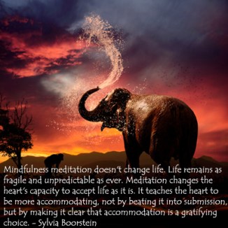 mindfulness-meditation-elephant-SilviaBoorstein