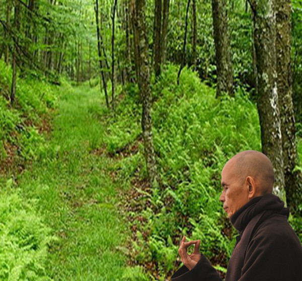 ThichNhatHanh