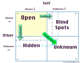 JOHARIwindow2